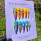 Psychedelic Shrooms
