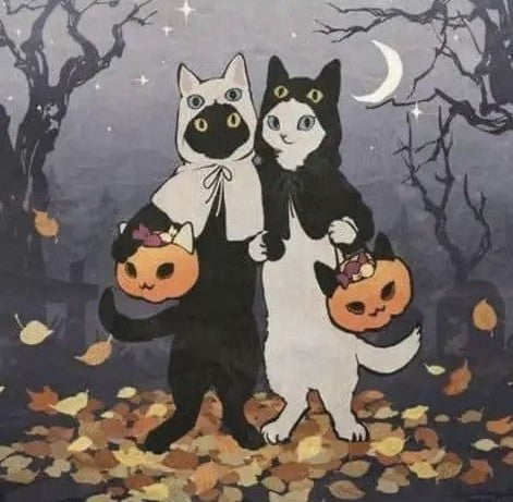 Trick or Treat Kitties Mystery